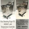 12L Gas Standing Deep Fryer - Image 2