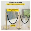 Set of 2 Pole Golden Queue Manager Barrier Steel Barricade with Retractable 5 Feet Long Belt & Heavy Duty Stanchions Base for Commercial Places. (Belt Type: Black Velvet) - Image 6